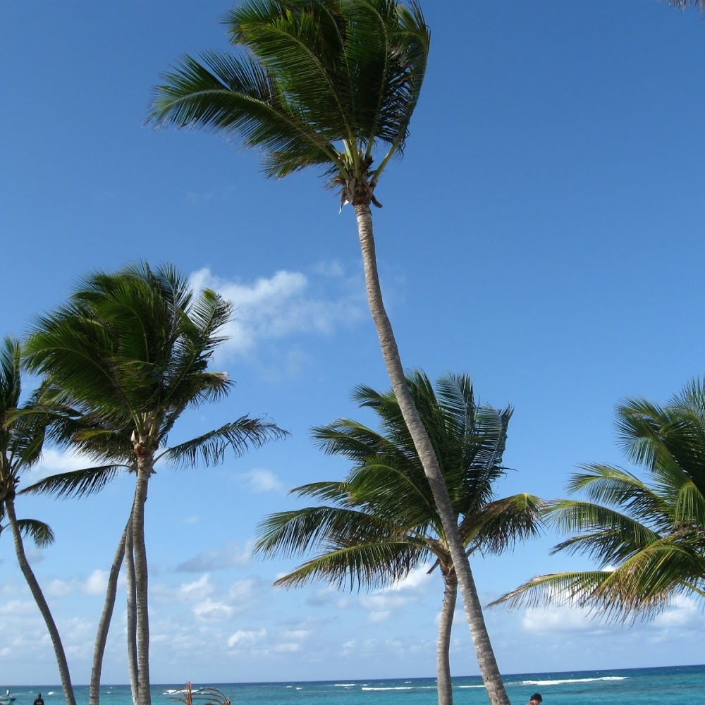 Meet your Posher, Gregory